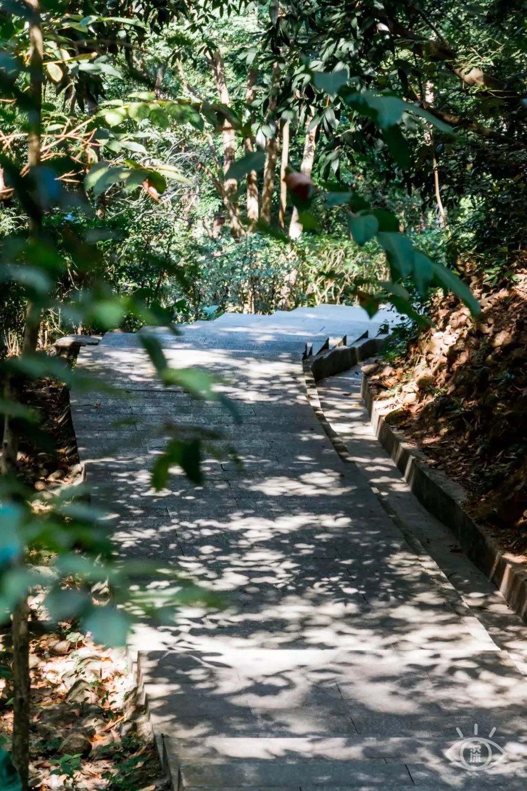 深圳10条入门登山线路推荐,深圳十大山峰最新登山攻略
