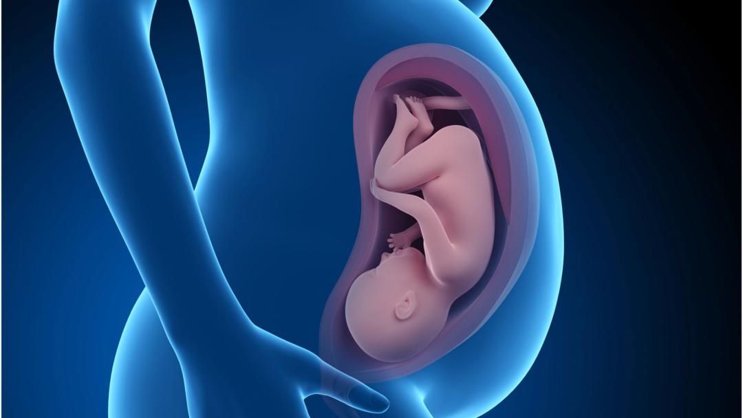 胎位不正想顺产平时应该怎么做,胎位不正医生用手纠正