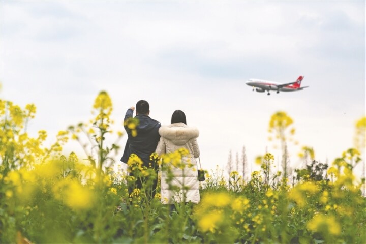3月成都近郊赏花双流,双流赏花免费地点三月份