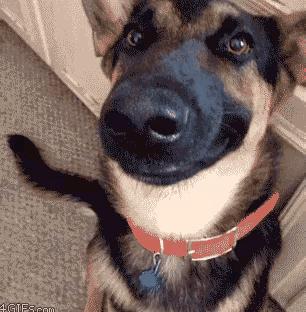 健身房有多乱知乎,健身房真的乱吗知乎后续