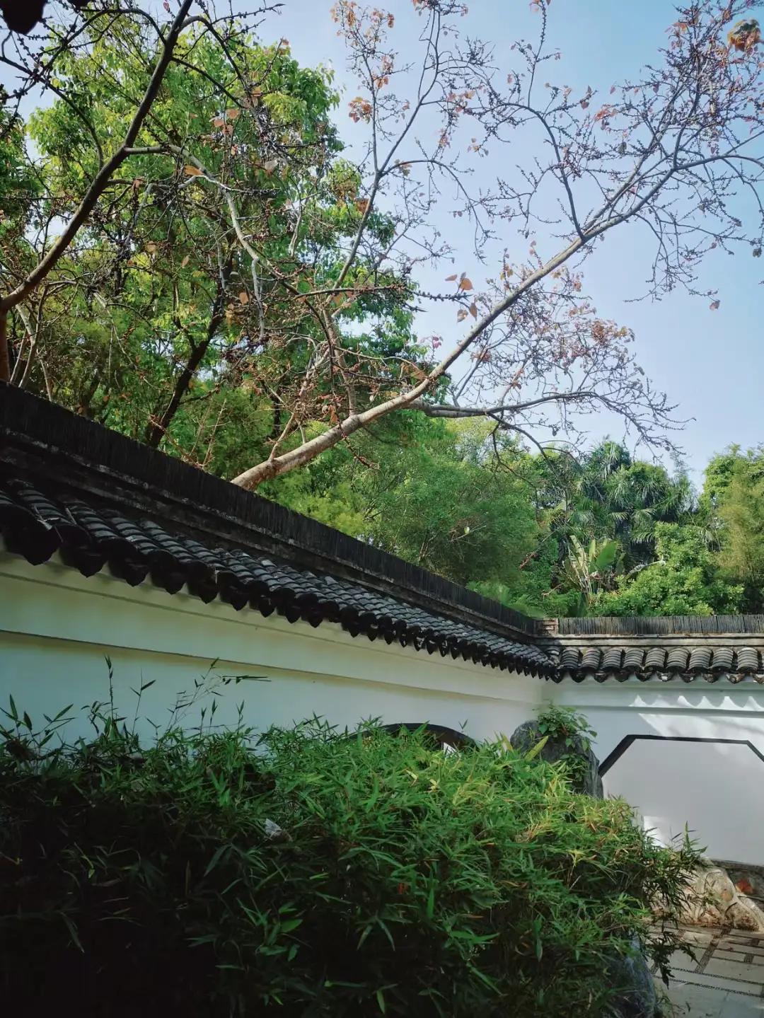 黄梅戏游园惊梦牡丹亭寻梦,寻梦牡丹亭游园惊梦