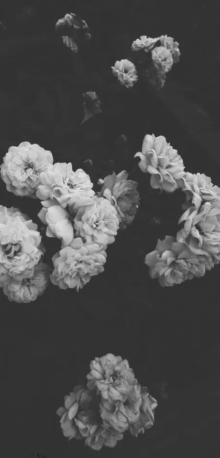 黑暗系壁纸黑底文字,黑暗色系的壁纸