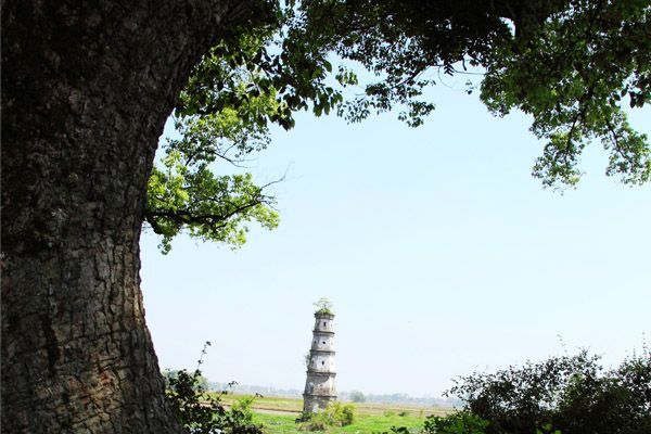江西5月份冷门旅游,江西十大冷门景点人少景美好玩