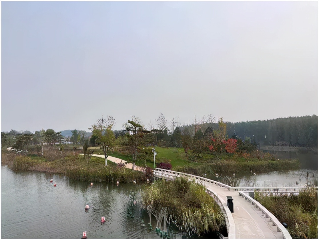 运城盐湖盐保中心,运城市盐保中心净湖行动再加力