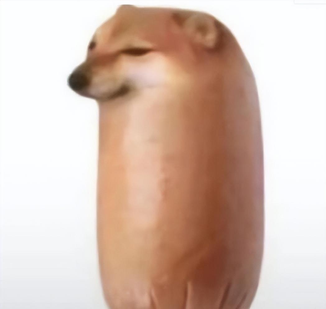 香肠小狗是什么梗,梗知识是什么