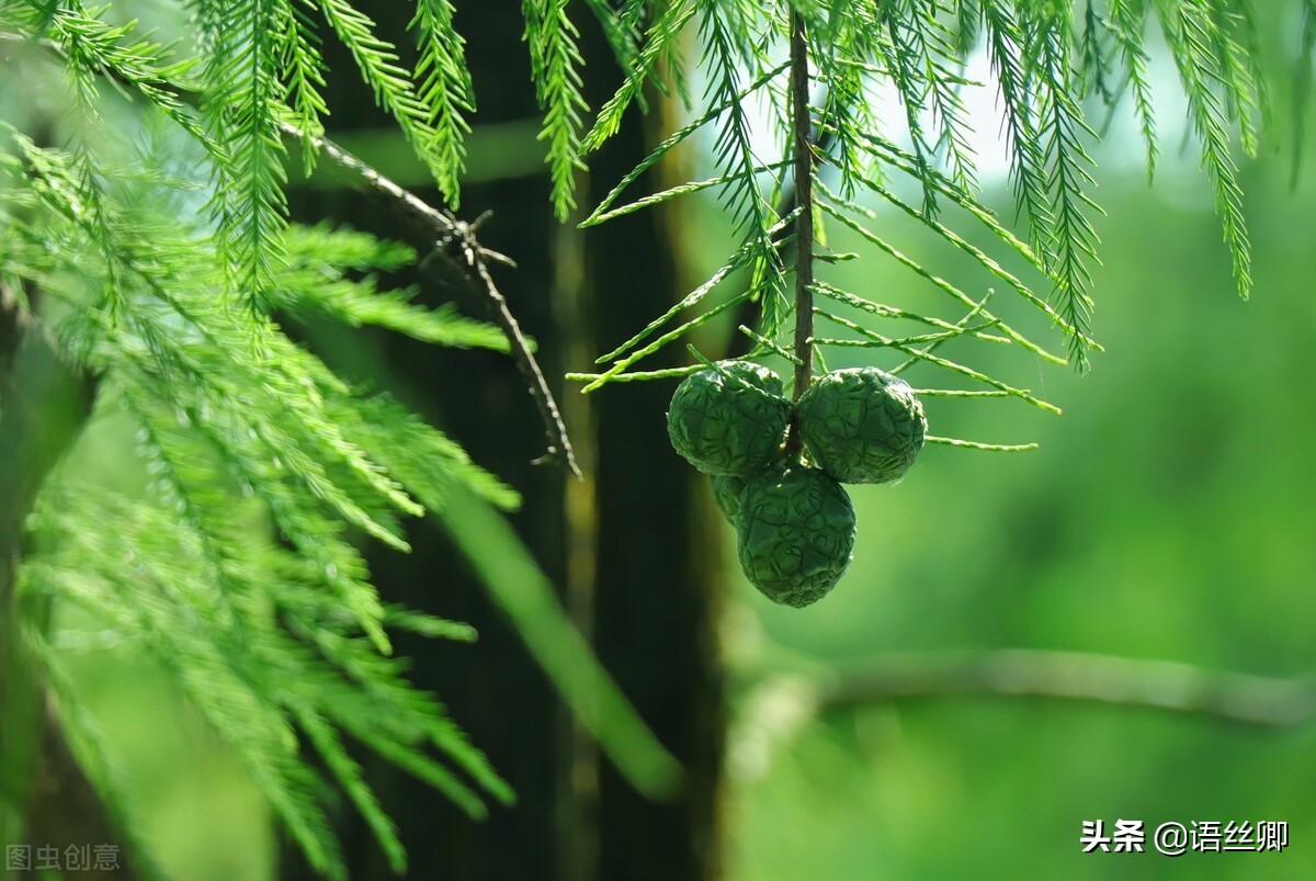 随笔三篇400字,随笔三到五句话