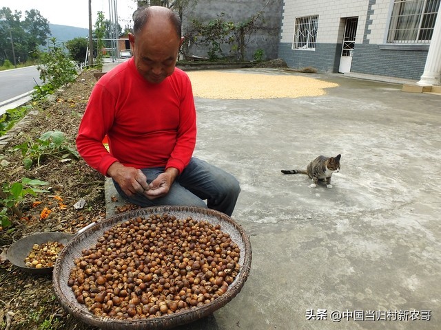 80岁以上老人领多少养老金农村,目前农村80岁老人领多少养老金