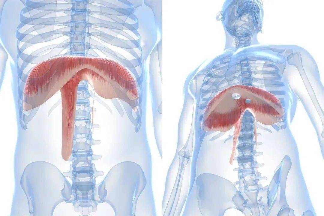 医生科普食管腺癌的发病原因,腺癌是什么原因引起的