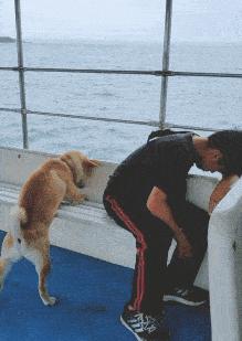 做服务员没口才,做服务员没有工作怎么办