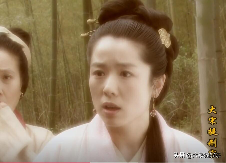 大宋提刑官三个人的故事,大宋提刑官怎么看不了了