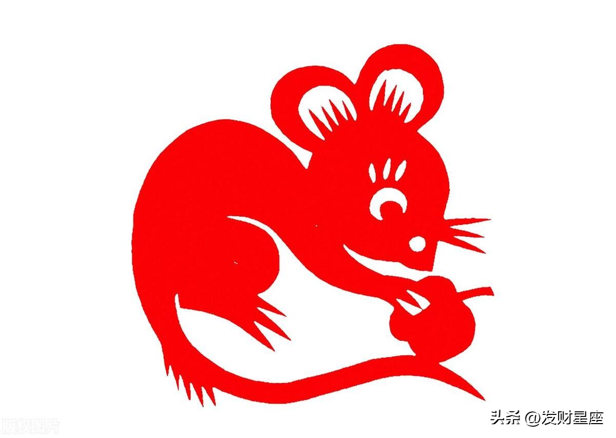 大手大脚代表哪个生肖,花钱阔气财运不错的三大生肖