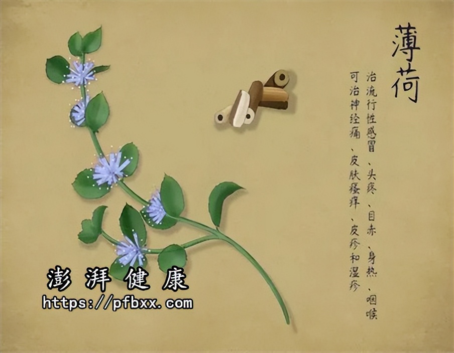 额头脸颊脖子背部长痘痘,额头上长痘痘挤了肿起来了