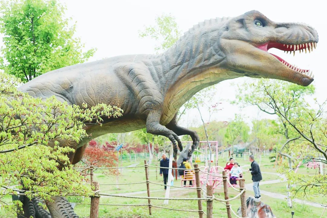 香草伊甸园景区最佳花开期,转发此文