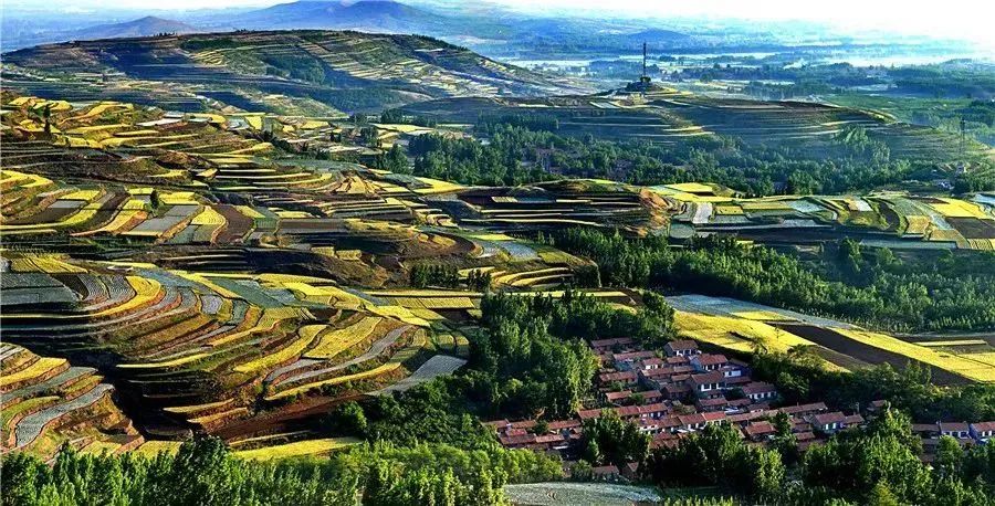 打卡不一样的潍坊，这座宝藏城市有颜又有料！