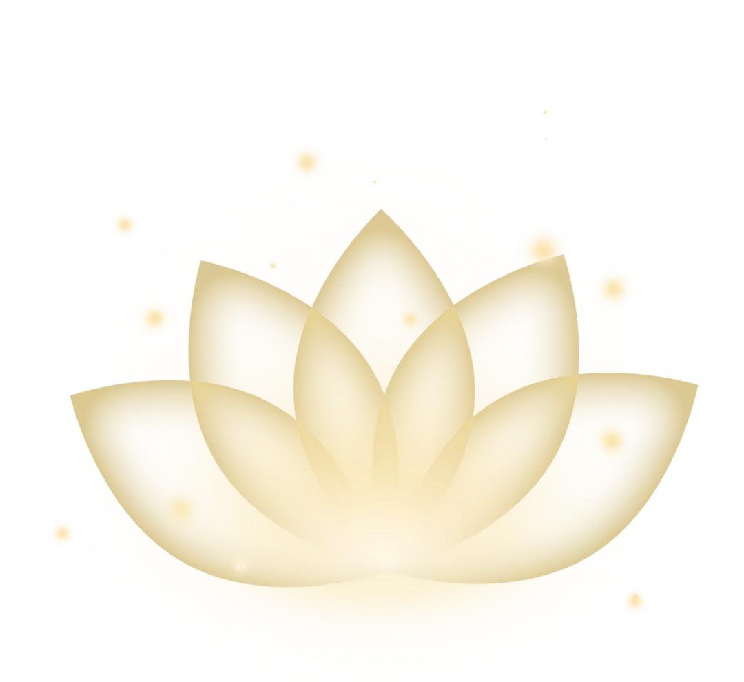 一行禅师圆寂享年95岁,一行禅师的葬礼