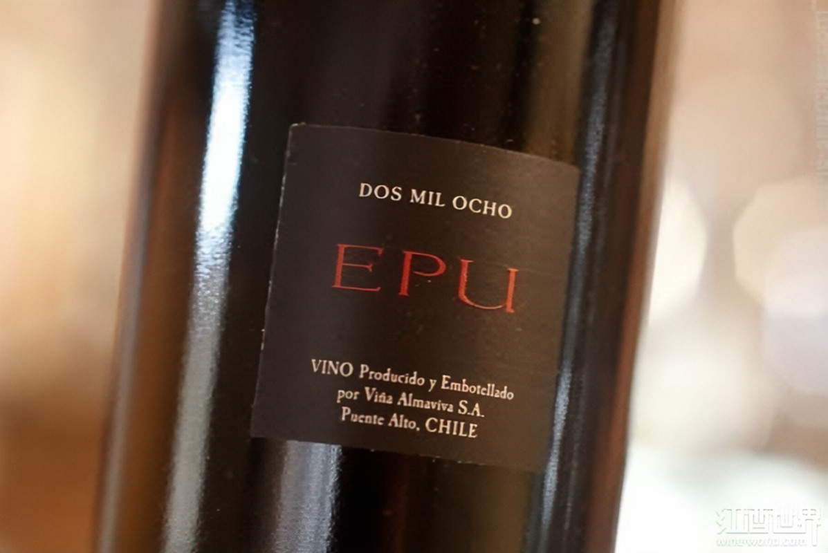 智利十大酒庄的红酒品牌排名,智利原装进口葡萄酒十大品牌