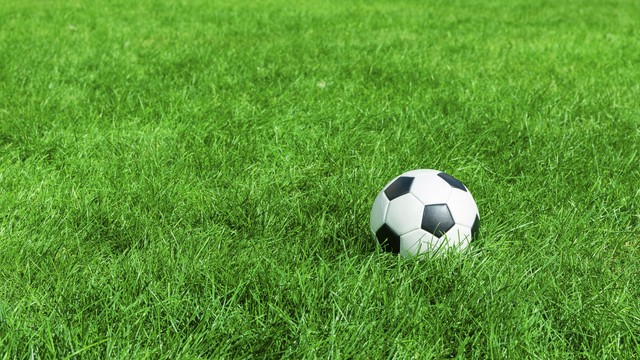 爷爷戒烟的日记,戒烟日记完整版