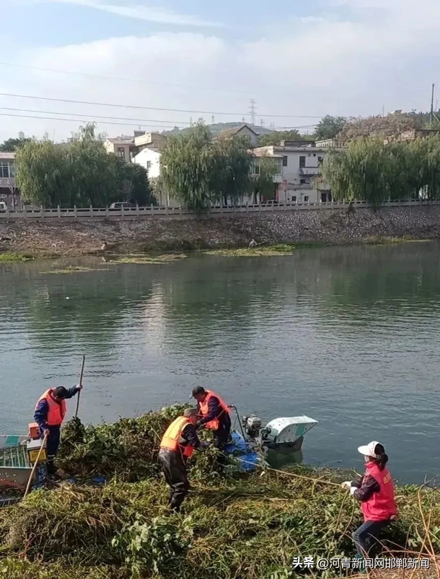 邯郸哪里有水草收割船,邯郸水草收割船