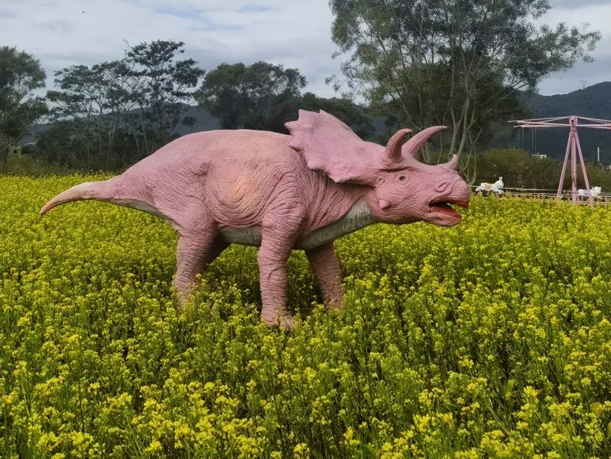 鼓浪屿可以当天预订船票攻略 (鼓浪屿还有免费的船票吗)