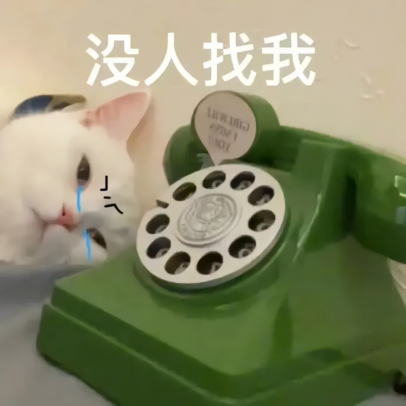 brain不是脑子的意思吗,brain是啥意思呀