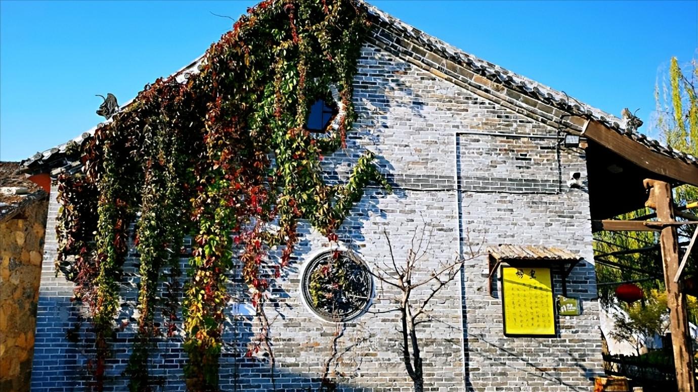 山东省滨州市详细介绍,山东省滨州有几个区及县