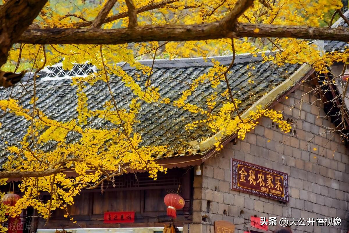 贵州十大旅游景点毕节市旅游景区,贵州有哪些必游的旅游景点