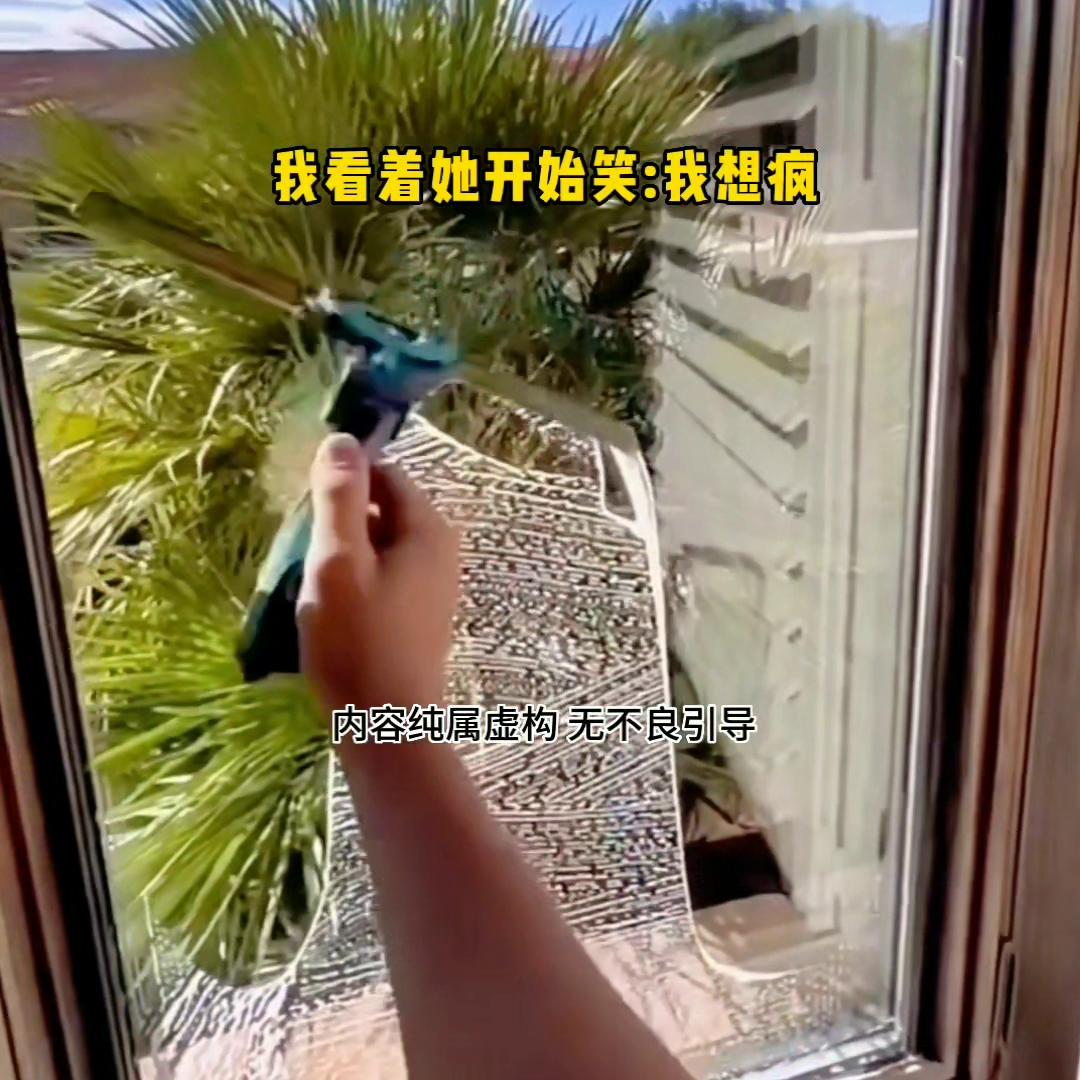 推文超好看小说一口气看完,推文超好看小说完整版