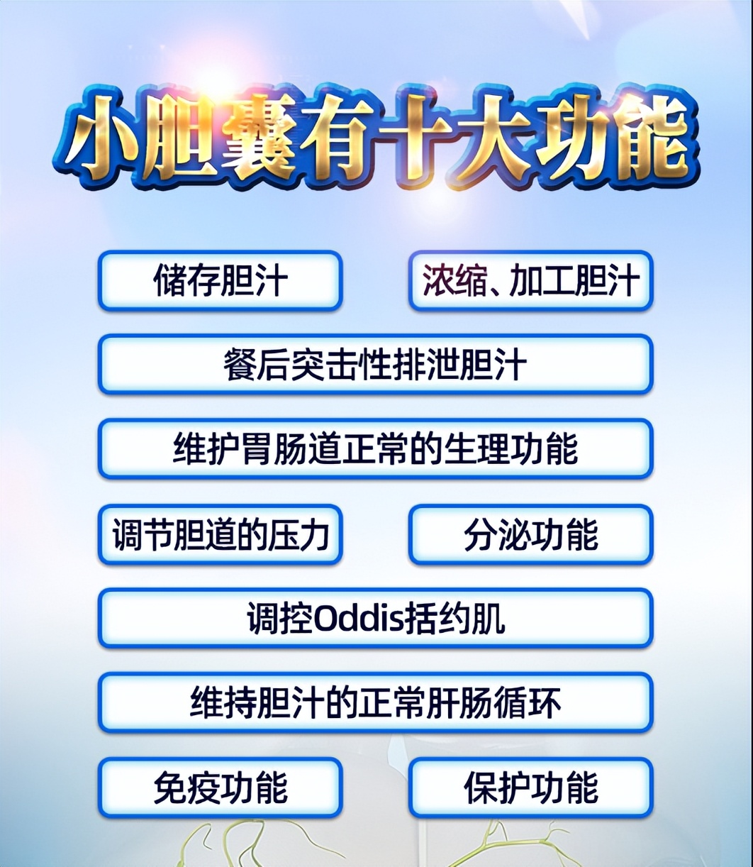 4厘米的胆结石能做保胆手术吗,胆结石多大需要做手术保胆取石
