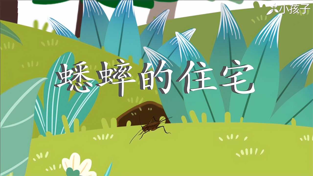部编版四年级语文上册《蟋蟀的住宅》课文解析，给孩子预习