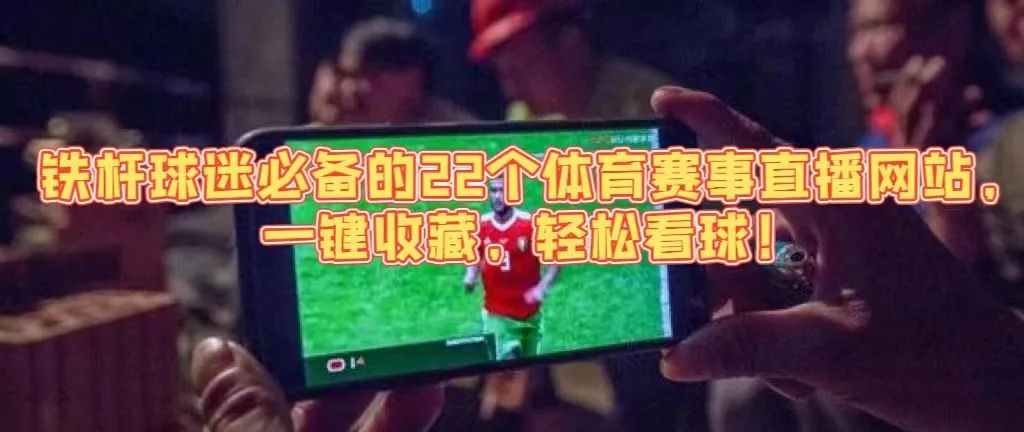 几百个免费影视游戏体育直播小说动漫资源网站!4K超清速度超快!