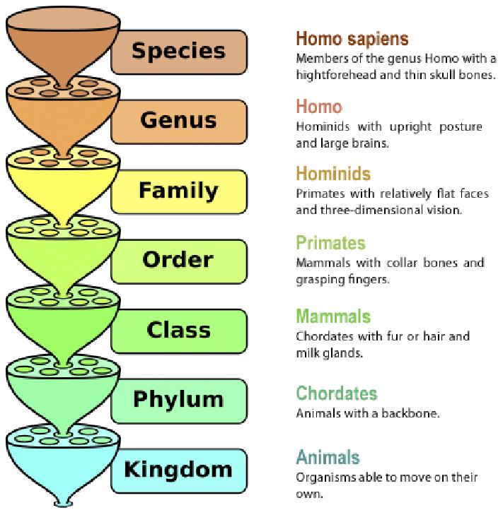生物学是什么,生物学是什么学科