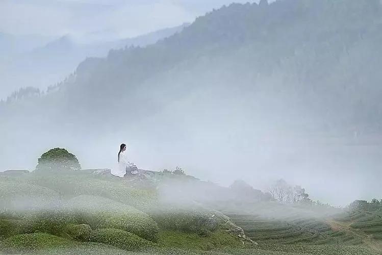 勤奋是没有天赋的人的耻辱,天赋和勤奋都不重要