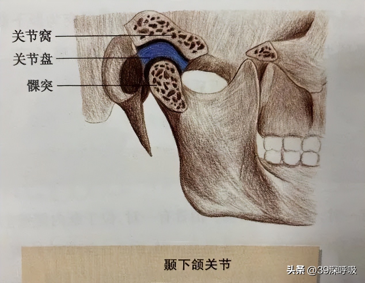 广州医科大学附属口腔医院副院长张清彬：爬坡过坎，滚石上山