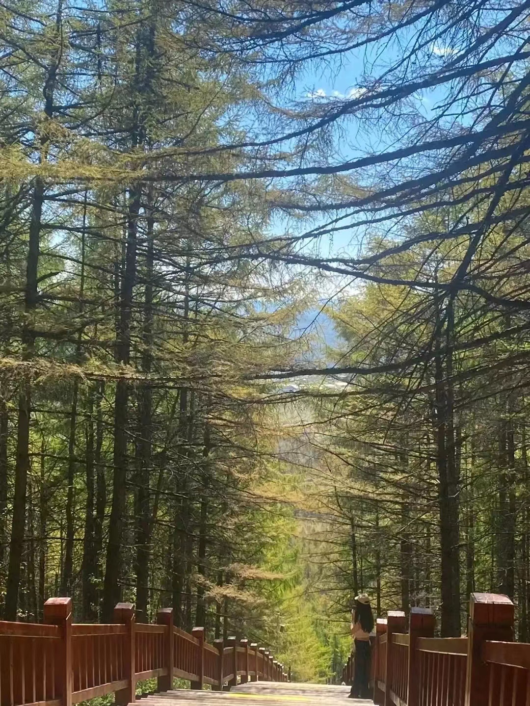 怎么踢好足球,怎么样才能踢足球