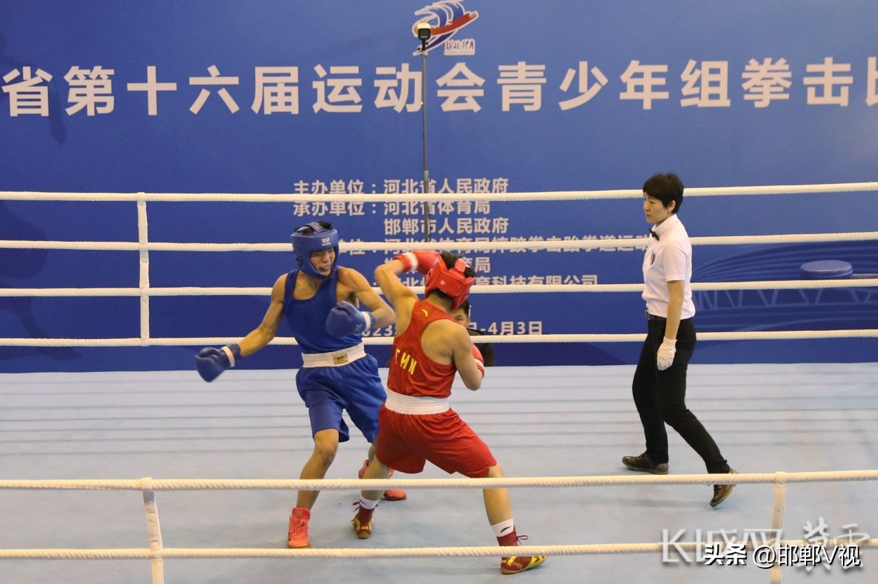 省运会青少年拳击比赛视频,安徽省青少年拳击锦标赛赛程