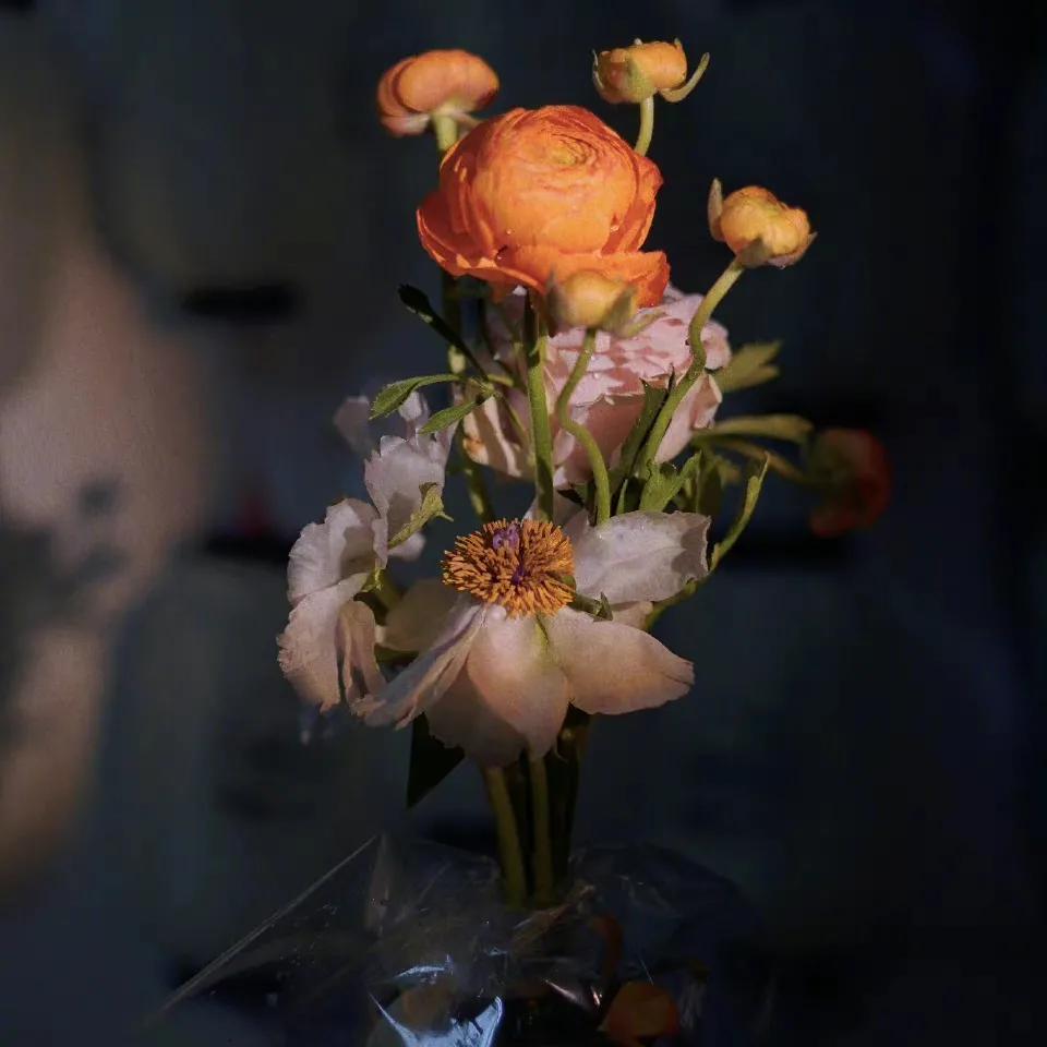 玫瑰花怎样醒花后再插,玫瑰花需要醒花吗