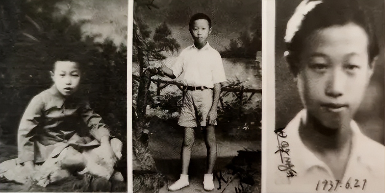 任溶溶的童话作品,安徒生童话任溶溶叶君健