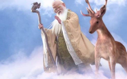 长白山挖参人发现160年老山参,长白山挖参故事