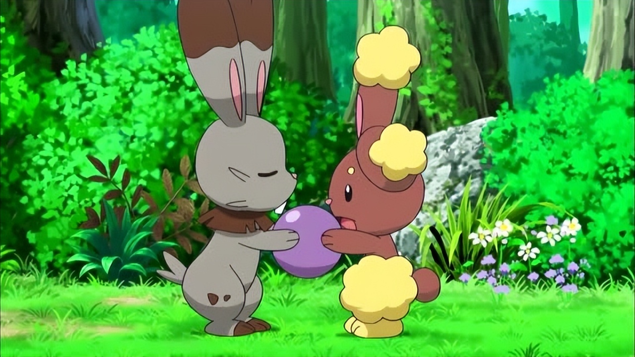 目标是一般系宝可梦大师！家门宠介绍之家门鼠篇