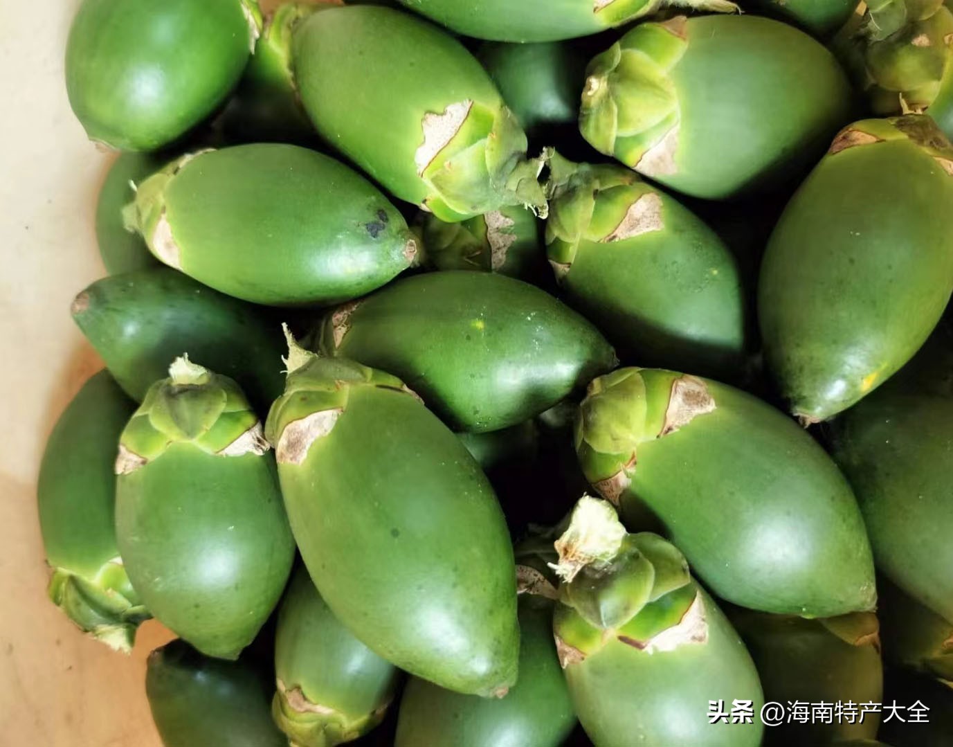 2023年海南槟榔价格 (2021海南槟榔生果价格)