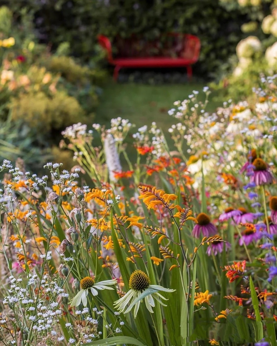 最简单省钱好打理的庭院设计方案,极简风格的庭院设计