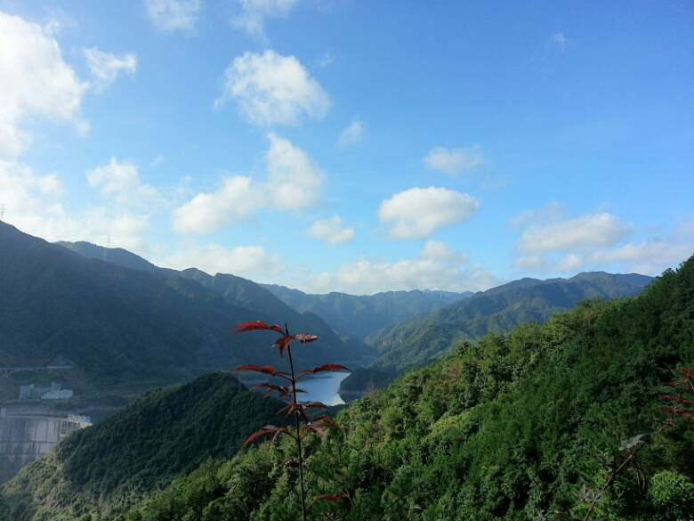 情人节长长的告白,情人节简短告白话