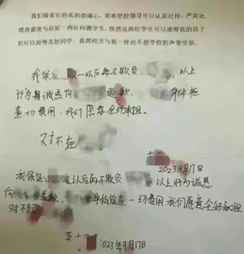 山西被霸凌男孩事件后续,山西大同霸凌男孩事件