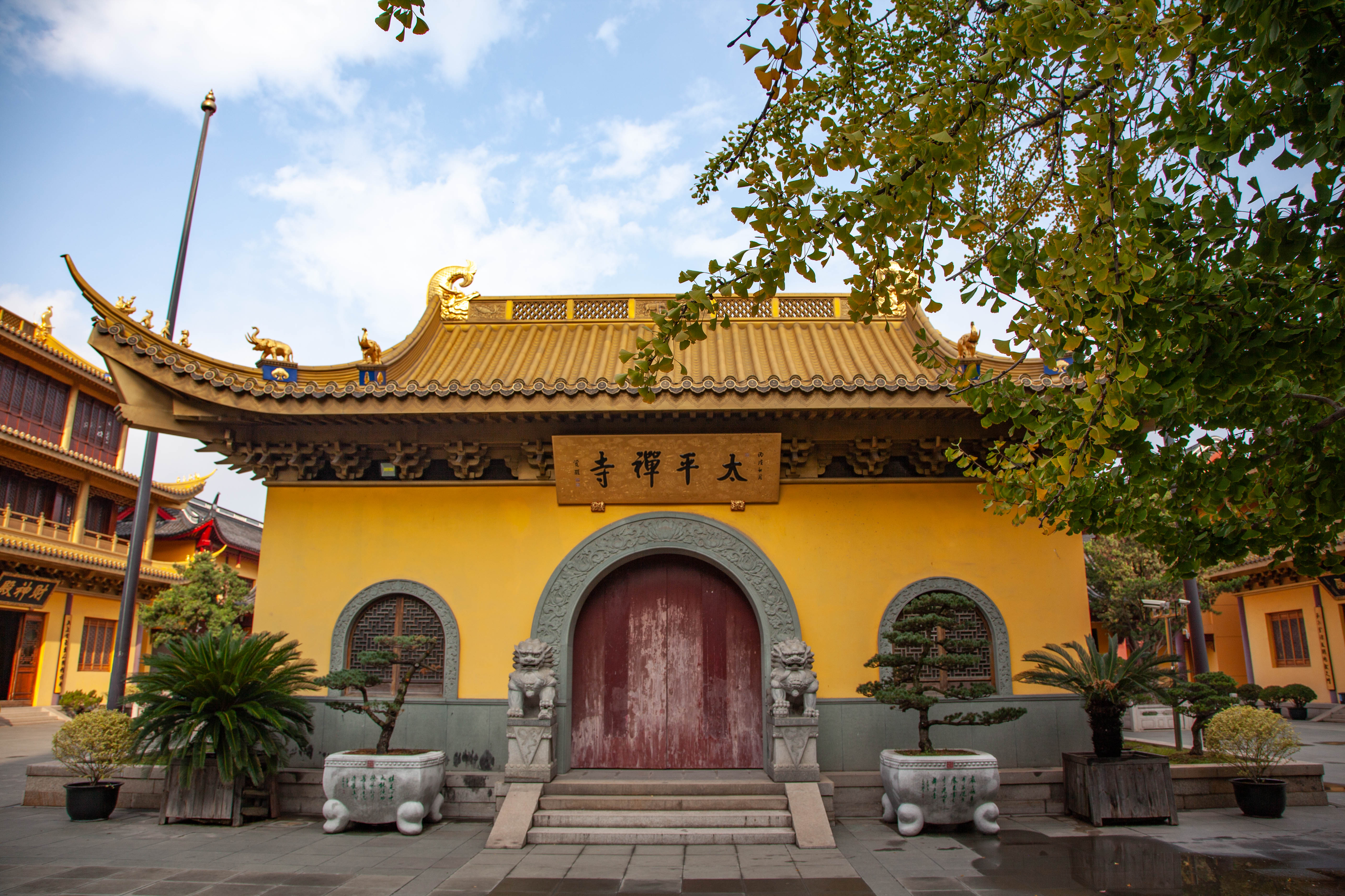 宝山顾村历史,上海宝山顾村老街