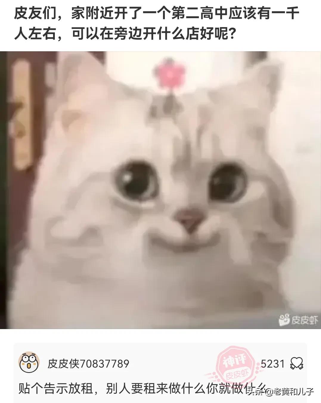 爆笑神评406期,爆笑神评全集