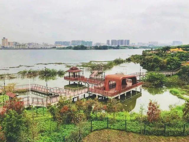 深圳宝安立新湖公园介绍,宝安福永立新湖公园