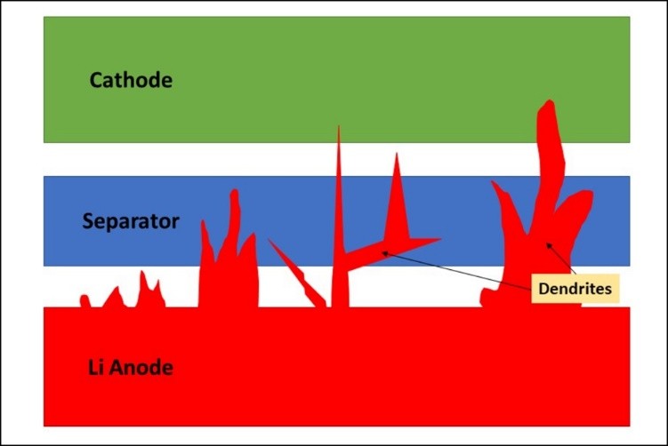 2023汽车人高考参考答案来啦……