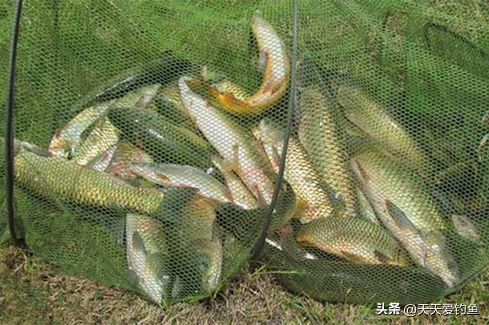 钓鱼风大走漂怎么解决,河钓走漂的正确方法