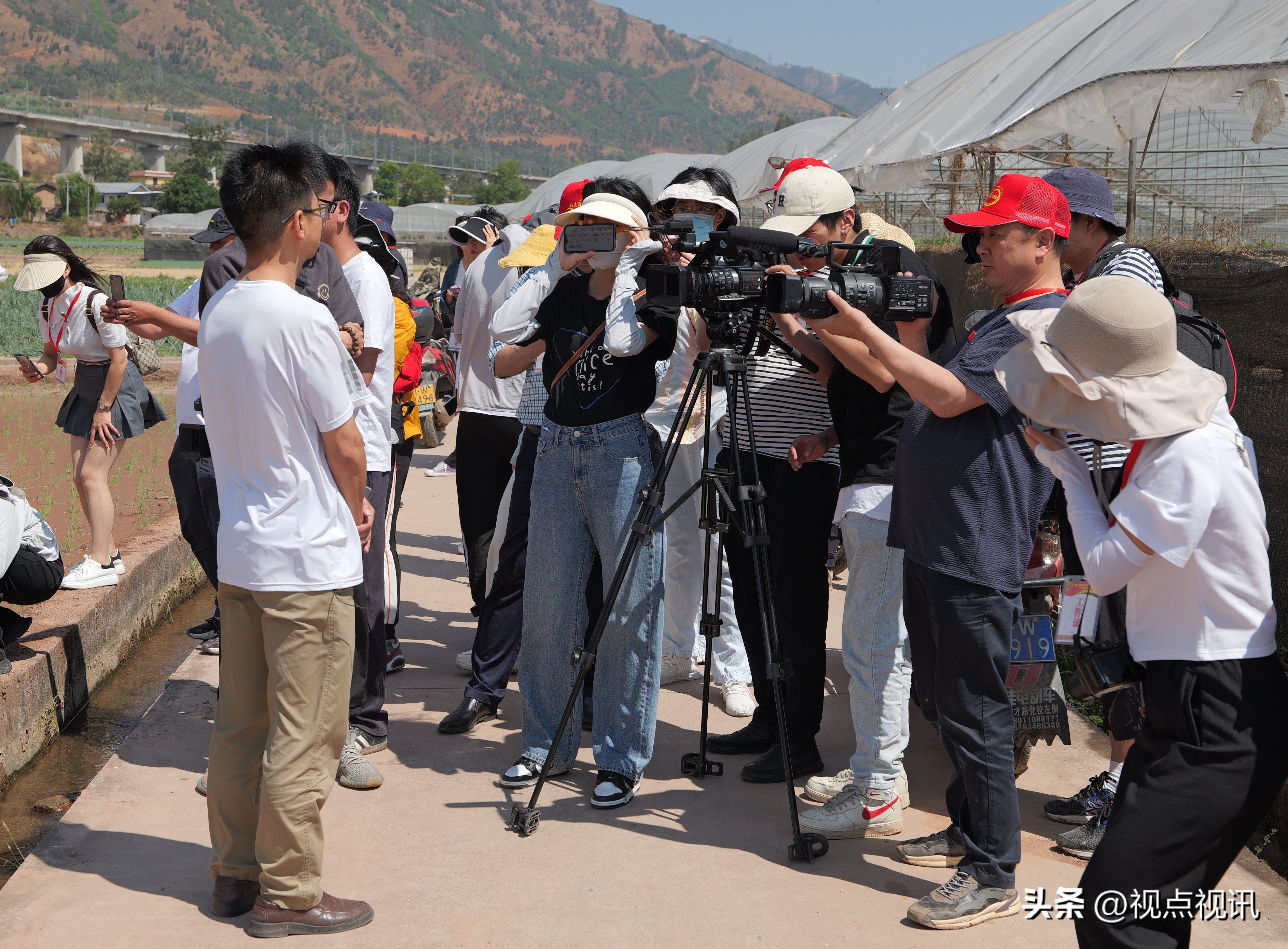 走进西吉看乡村振兴,乡村振兴看进贤罗溪