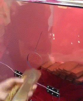 “是小蛇出了轨，还是青蛙劈了腿？”这是现实版的美杜莎？哈哈